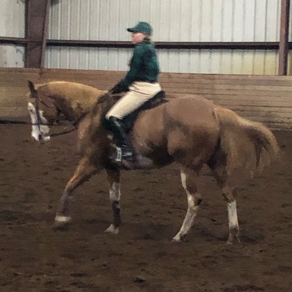 Meet your Posher, Katie Jones. - Picture 6 of 16